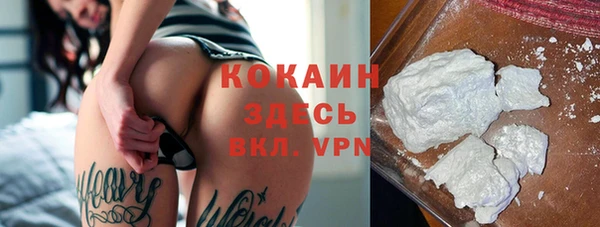 дживик Баксан