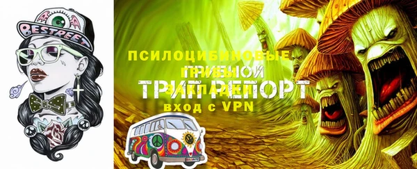 apvp Балахна
