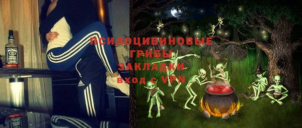 дживик Баксан