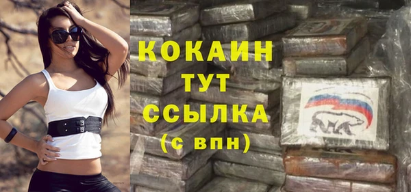 дживик Баксан