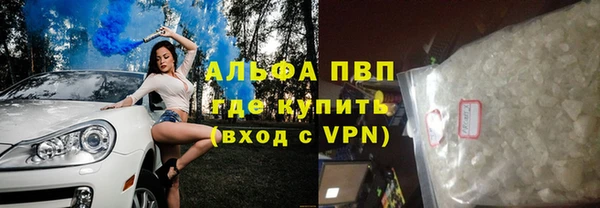 стаф Заводоуковск
