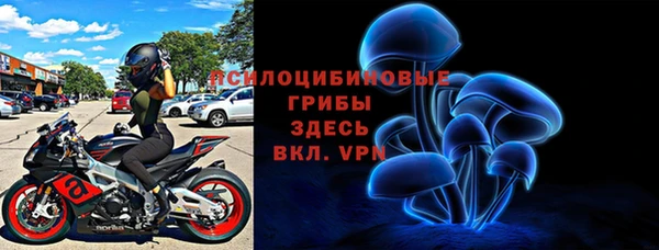 дживик Баксан
