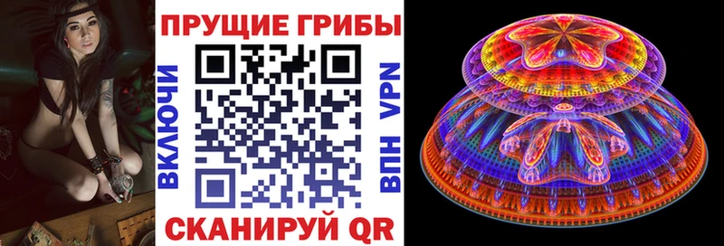наркошоп  Пересвет  Галлюциногенные грибы GOLDEN TEACHER 